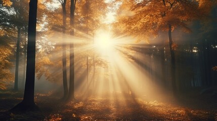 Wall Mural - beautiful sunbeams emerging from the fog amid an autumnal golden forest. Nature's splendor in its warm, brilliant autumnal hues of deciduous trees