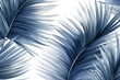  a close up of a blue and white palm fronds on a white background with a black and white photo of the frond of a blue palm fronds on a white background.