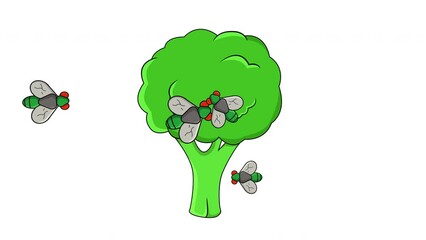 Poster - Animation of broccoli being attacked by flies