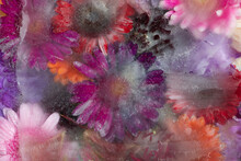 Abstract Colorful Art Background With Summer Flowers Frozen In Ice