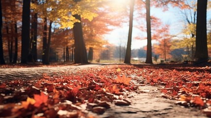 Wall Mural - Stunning sunny autumn scene with dried-up crimson leaves that have fallen, a road through the forest, and yellow trees