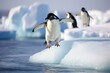 Chinstrap penguins Pygoscelis chinstrap on ice floe, Adelie penguin jumping between two ice floes, AI Generated