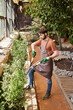 © LIGHTFIELD STUDIOS - bearded gardener in gloves and apron trimming bush with big gardening scissors in greenhouse