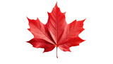 Fototapeta  - Red maple leaf as an autumn symbol as a seasonal themed concept as an icon of the fall weather isolated on transparent background