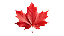 Red Maple Leaf As An Autumn Symbol As A Seasonal Themed Concept As An Icon Of The Fall Weather Isolated On Transparent Background