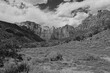 View in Zion National Park in Black and White