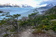 View over the Grey Glacier in Torres del Paine national park in Chile, Patagonia, South America