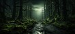 Enigmatic Night: Dark and Mystical Forest with Twisted Trees and Tranquil Stream