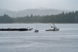 Fishing boat off the Alaskan coast on a misty day