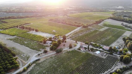 Poster - Aerial Mediterranean landscape with cypresses, olive trees and vineyards in Provence, Southern France