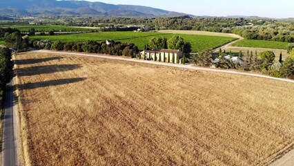 Wall Mural - Aerial Mediterranean landscape with cypresses, olive trees and vineyards in Provence, Southern France