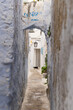 A black cat in a narrow alley in Tunisia.