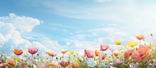 In The Vintage Landscape, A Beautiful Floral Garden Blooms With Colorful Flowers, Isolated Against The Clear Blue Sky On A White Background, Reflecting The Light Of The Sun, Illuminating The Lush