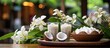 In a beautiful Asian country like City, amidst the lush green nature, a white flower bloomed gracefully beside a wooden stall selling delicious coconut desserts made with creamy milk and sweetened