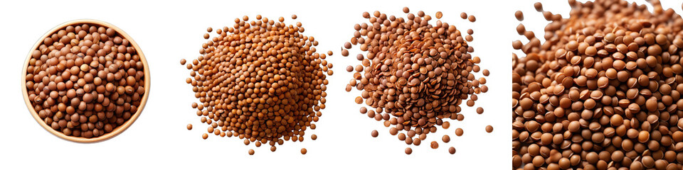 Wall Mural - Brown Lentils  Hyperrealistic Highly Detailed Isolated On Transparent Background Png File