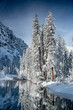 New snow in Yosemite on the Merced River