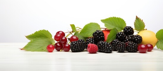 Poster - In a summer-themed photoshoot isolated against a pristine white background, a vibrant green leaf enhances the visual appeal of a set of healthy and organic fruits. Sublime red and black berries are