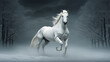 horse in snow HD 8K wallpaper Stock Photographic Image 