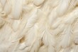 Luxurious cream feathers provide a plush texture, suitable for high-end fashion details or elegant interior designs.