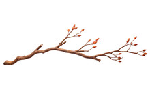 Branch Or Twig Of A Tree Isolated On A Transparent Background, A Branch Of Birch PNG For Decorative Mockups Or Template Background, A Wooden Stick Or Stem With Buds, Birch Branch