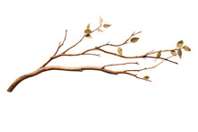 Branch Or Twig Of A Tree Isolated On A Transparent Background, A Branch Of Birch PNG For Decorative Mockups Or Template Background, A Wooden Stick Or Stem With Buds, Birch Branch