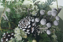 Botanical Background Of Winter Plants And Flowers Bouquet