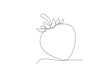 Single one line drawing sliced healthy organic strawberry. Fresh tropical fruitage concept for fruit garden icon. Modern continuous line graphic draw design vector illustration