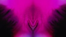 Paint Spill Abstract Background. Defocused Neon Magenta Pink Black Color Ink Water Mix Flow Reveal Motion Symmetric Ornament Particles Art Texture.
