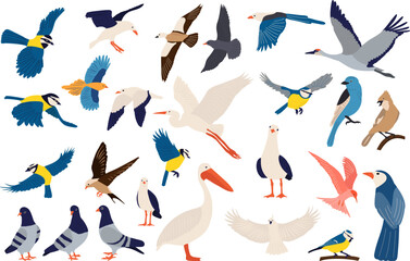Wall Mural - birds of different breeds, birds flying collection on white background vector