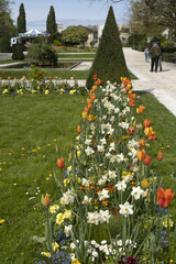Wall Mural - parc paysager et fleuri de saintes en france
