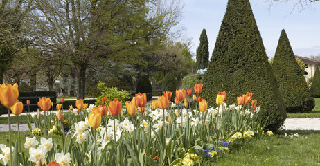 Wall Mural - parc paysager et fleuri de saintes en france