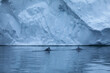 Whales swimming in the sea  next to giant icebergs in Greenland 