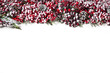 © Jurga Jot - Isolated Christmas holiday decoration with snowy red berries and pine cones on white background, plant Christmas border , Christmas holiday concept, copy space