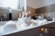 Cute fluffy cat in bath. Cat being bathed in tub with shampoo or soap bubble foam. Pet grooming and clean concept.