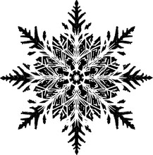 Snowflake Vector 44