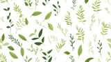 Fresh green herbs pattern, seamless light background texture