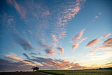 Fototapeta  - Sonnenaufgang über einem Maisfeld