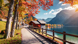 Fototapeta Natura - wonderful autumn landscape beautiful romantic alley near popular alpine lake grundlsee with colorful trees scenic image of forest landscape at sunny day stunning nature background