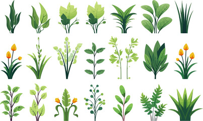 Wall Mural - garden vegetation set isolated vector style with transparent background illustration