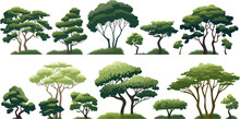 Savannah Trees Set Isolated Vector Style With Transparent Background Illustration