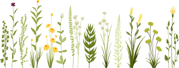 Poster - field vegetation set isolated vector style with transparent background illustration