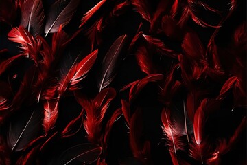 background black feathers red pattern abstract