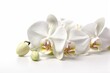 White orchid flowers isolated on a white background. Generative AI