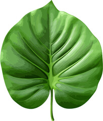 Wall Mural - Green jungle leaf clip art