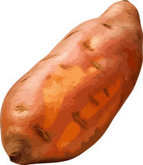 Wall Mural - Sweet potato clip art