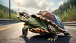Determined turtle making its way across a sun-drenched road, its colorful shell contrasting with the dark asphalt.