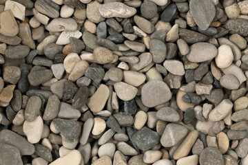 Wall Mural - Nature sea pebbles background texture. natural aquarium soil. beach pebbles close up