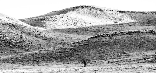 Wall Mural - High Contrast Rolling Hills Of Hayden Valley