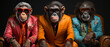 Funky Monkey: Schicke Schimpansen mit modischem Outfit