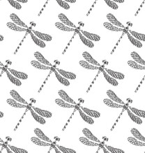 Seamless Black And White Pattern Wiht Dragonflies